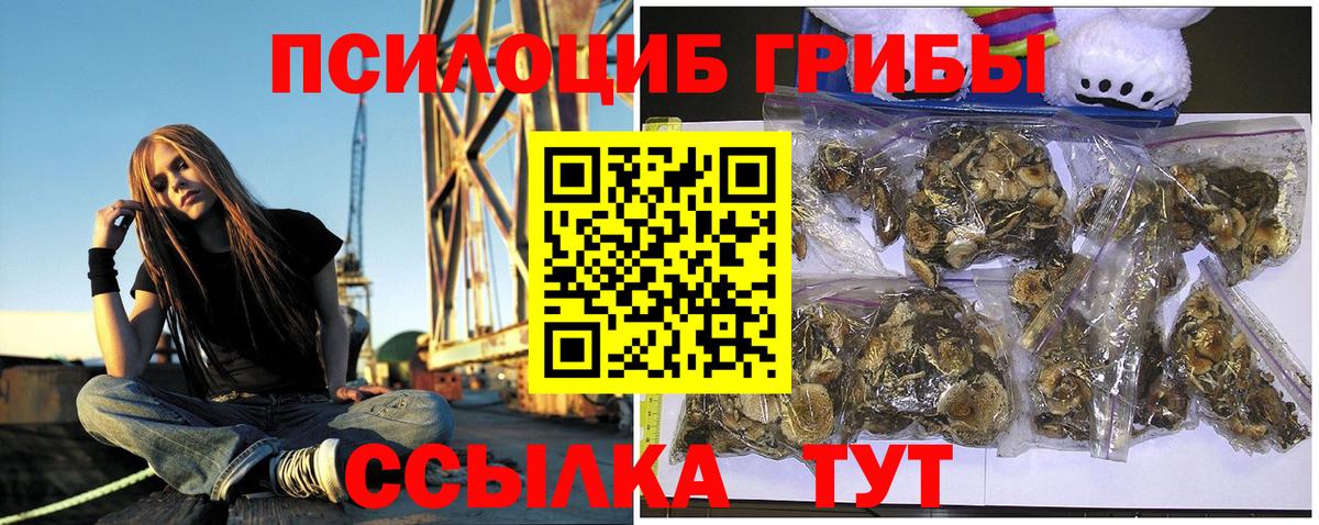 наркотики  Вход с VPN  Сергиев Посад  Псилоцибиновые грибы MAGIC MUSHROOMS 