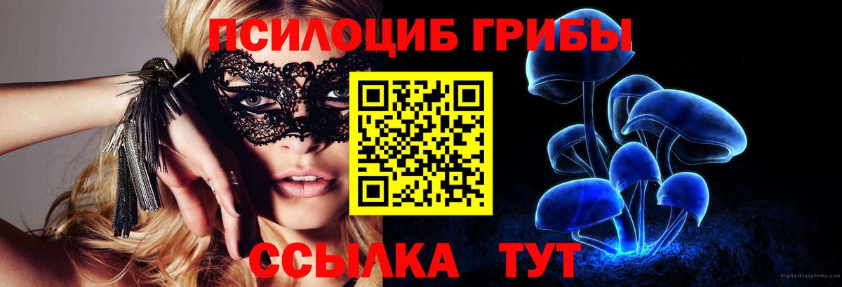 Псилоцибиновые грибы Magic Shrooms Сергиев Посад